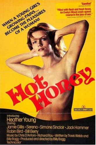 热蜂蜜Hot Honey (1978) [复古经典高清情色稀缺资源]